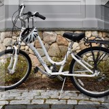 L18. Townie bucycle. 